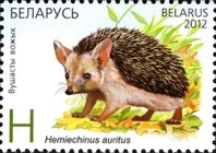 [Hedgehogs - Joint Issue with Kazakhstan, type AFT]