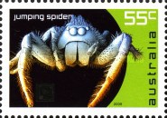 [Micro Monsters, type DGA]