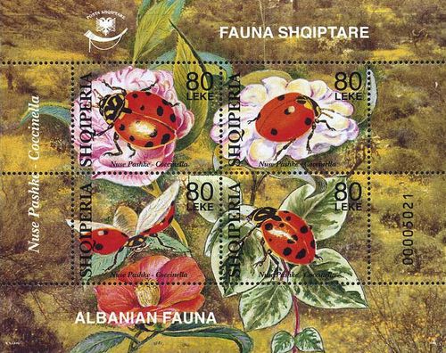 [Albanian Fauna, type ]