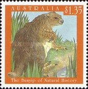 [A Bunyip - Aboriginal Legend, type AVE]