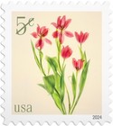 [Flowers, type JAV]