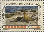 [Formation of Galapagos Islands Province, type BGE]