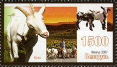 [Domestic Animals, type XS]