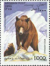 [Fauna - Bears, type AMB]