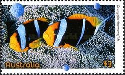 [Fish of the Reef, type DJU]
