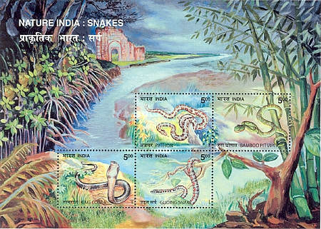 [Nature India - Snakes, type ]