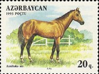[Horses, type Z]