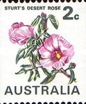[Plants, type KQ2]