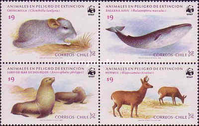 [Endangered Animals, type ]