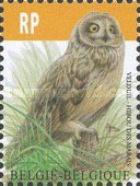 [Birds - Short Eared Owl, type ECN]