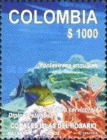 [Rosario Island - Corals, type ]