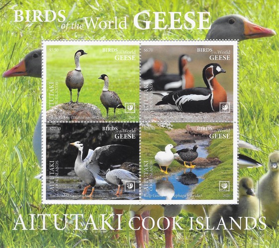 [Birds of the World - Geese, type ]
