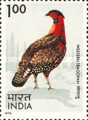 [Indian Birds, type QG]