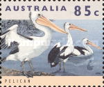 [Threatened Animals, type AUN]