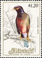 [Birds, type LQ]