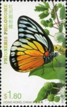 [Butterflies, type AVL]