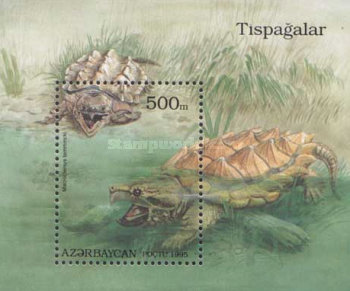 [Tortoises and Turtles, type ]