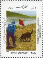 [Working Towards a Mine Free Afghanistan, type AYH]