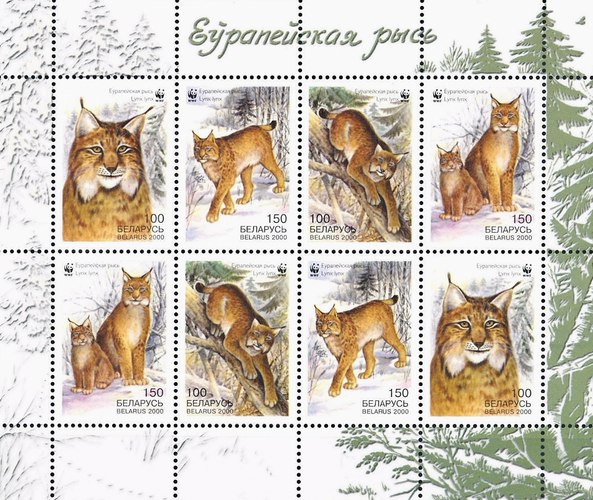 [WWF - Lynx, type ]