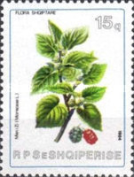 [Plants, type BFJ]