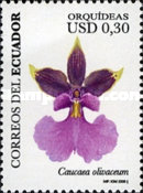 [Orchids, type DFM]
