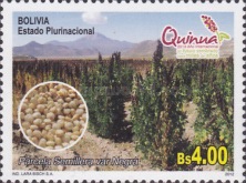 [International Year of Quinoa, type BRN]