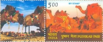 [Pushkar Fair - Personalized Vignette, type DXZ]