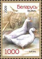 [Birds - Fowls, type AAI]