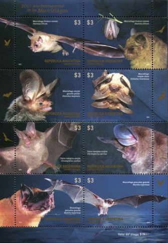 [International Year of the Bat, type ]
