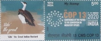 [COP13 - Personalized Vignette, type EVK]