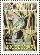[Birds of Mazan, type CND]