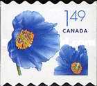 [Flowers - Self-Adhesive, type CJS]
