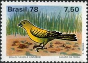 [Birds, type BJG]
