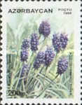 [Flora and Fauna, type GV]