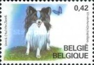 [Belgian Dogbreeds, type CNH]