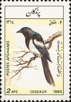 [Fauna - Birds, type ACZ]