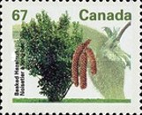 [Fruit and Nut Trees, type AVE]