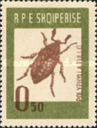 [Insects - Beetles, type LN]