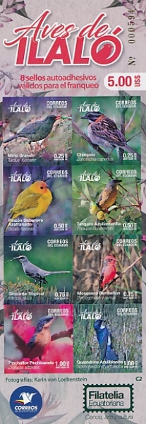 [Birds, type ]