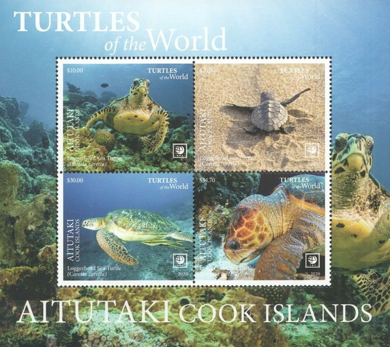[Marine Life - Turtles of the World - with White Frame, type ]
