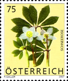 [Flowers, type CKR]