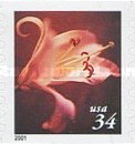 [Flowers - Self-Adhesive Coil Stamps, type DNT6]
