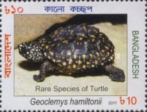 [Rare Turtles of Bangladesh, type ALA]