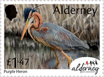 [Bird Obersvatories Across the British Isles, type AFK]