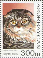 [Cats, type GQ]