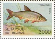 [Fish, type GI]