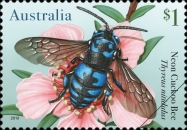 [Native Bees, type EQV]