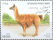 [Llamas & Camels, type ANM]