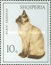 [Cats, type YOO]