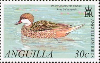 [Anguillian Birds, type ARF]